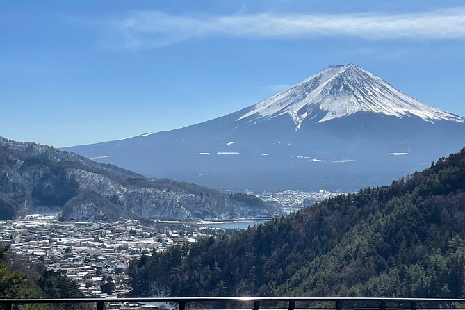 Mt FUJI - Panoramic Tour w/ Hoto Lunch, JP Sake & Onsen tatto OK! - Key Points to Know Before You Go