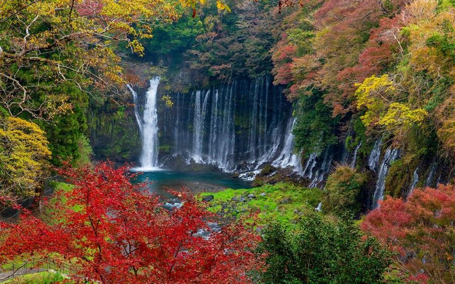 Mt Fuji : Private 10-Hour Luxury Tour by Exclusive Car - Key highlights you will feel right away