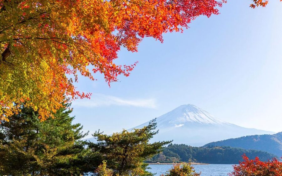 Mt Fuji : Private 10-Hour Luxury Tour by Exclusive Car - Photo strategy: how to actually get the shot