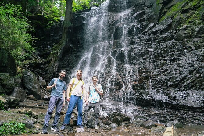 Mt. Fuji Private Chartered Tour with Nature and Wasabi Farm - Arakura Sengen Shrine and Chureito Pagoda: the view stop that people actually remember