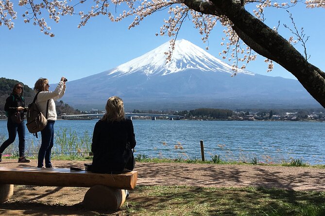 Mt Fuji Private Day Tour from Tokyo with English Speaking Driver - Key Points You’ll Care About