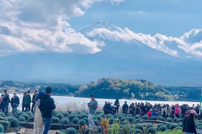 Mt Fuji Private Day Tour from Tokyo with English Speaking Driver - Stop 3: Lake Kawaguchi Ohashi Bridge for Classic Fuji Views