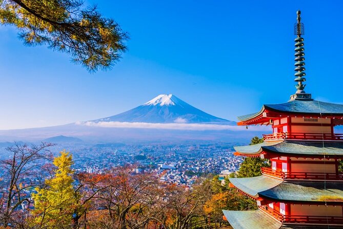 Mt Fuji Private Day Trip from Tokyo with English Speaking Driver - Quick hits before you go