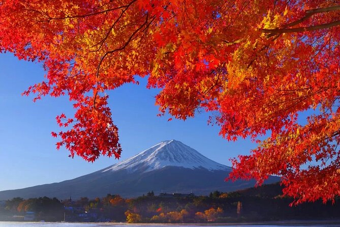 Mt Fuji Private Day Trip from Tokyo with English Speaking Driver - Pricing and value: what $423.90 per group really buys