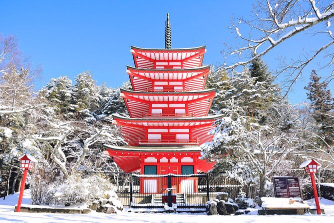 Mt.Fuji Private SightSeeing Day Tour (From Tokyo) - A Private Fuji Day From Tokyo: What You Really Get