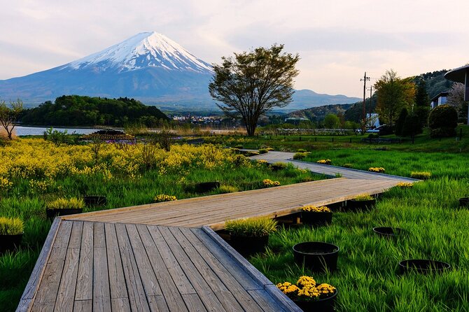 Mt.Fuji Private SightSeeing Day Tour (From Tokyo) - Price and Value for a Private Group Up to 6