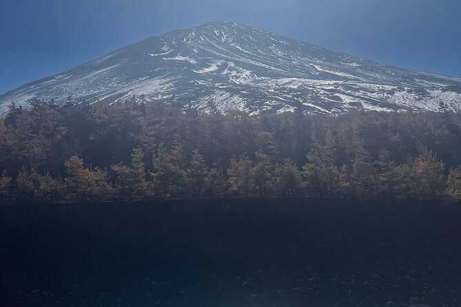 Mt Fuji Private Tour with English Speaking Driver - Lake Kawaguchiko and Oishi Park: Fuji with water and flowers