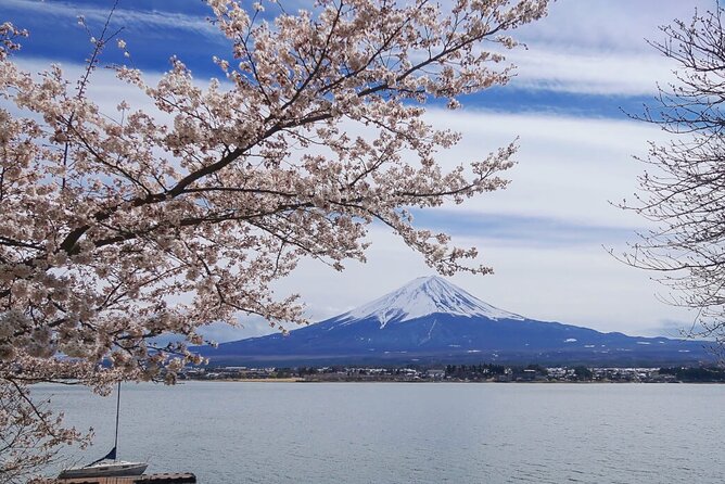 Mt Fuji Private Tour with English Speaking Driver - Oshino Hakkai ponds: where Fuji water becomes a day highlight