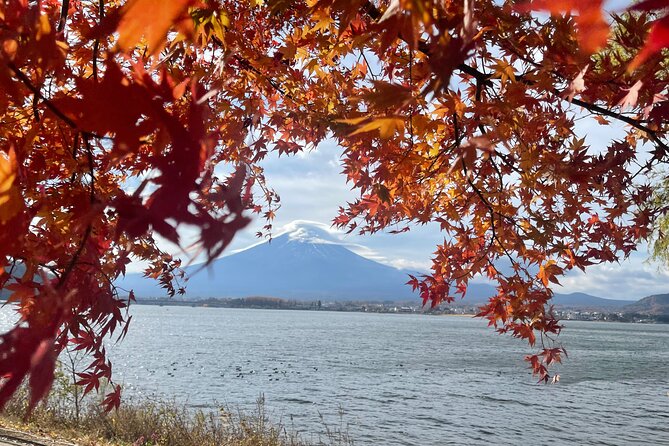 Mt Fuji Private Tour with English speaking driver - Mt Fuji 5th Station: optional altitude and the real payoff