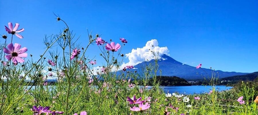 Mt. Fuji Private Tour With Hotel Pick Up From Tokyo - Key moments worth planning for
