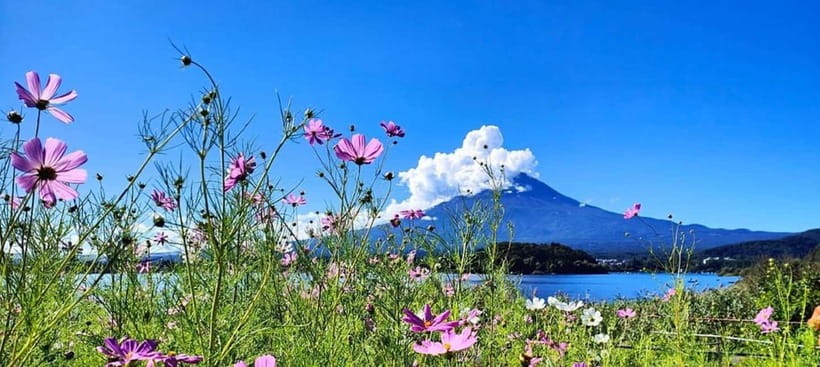 Mt. Fuji Private Tour With Hotel Pick Up From Tokyo - Subaru Line Fifth Station at 2,300 meters: the view moment