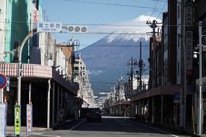 Mt Fuji Private Tour with Native Japanese Driver - A Private Day to Fuji and Hakone, With a Driver Who Keeps It Simple