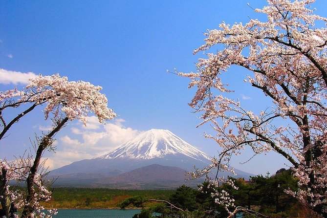 Mt Fuji Private Tour with Native Japanese Driver - Arakurayama Sengen Park and Oshino Hakkai: Icons in One Ride