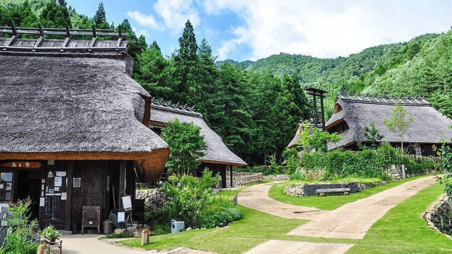 Mt Fuji Sightseeing Private tour with English Speaking Guide - Arakurayama Sengen Park and Chureito Pagoda: Photo Stops With Real Queue Reality