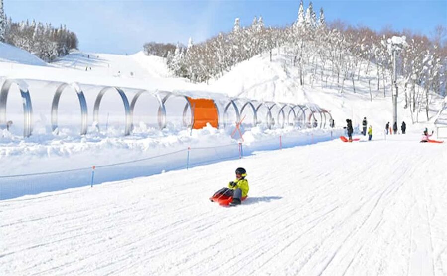 Mt. Fuji Skiing Experience- YETI Ski Resort & Onsen Day Trip - Slopes with Mt. Fuji and Suruga Bay views, if the sky cooperates