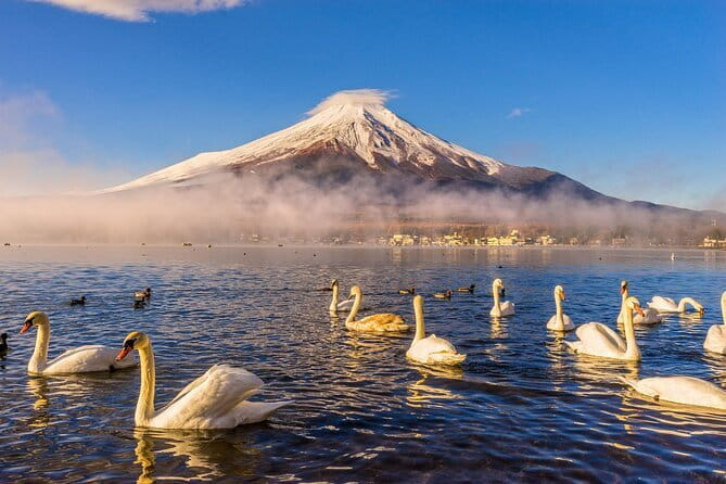 Mt Fuji Small Group 1 Day Tour Kawaguchi and Yamanaka with Pickup - Pickup, ride comfort, and the reality of a 10-hour day