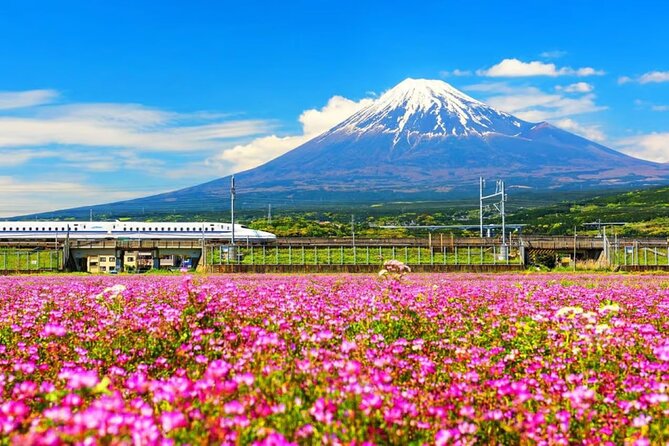 Mt. Fuji to Lake Kawaguchi, Lake Yamanaka and Onsen Day Tour - Key Things That Make This Tour Worth It