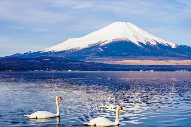 Mt. Fuji to Lake Kawaguchi, Lake Yamanaka and Onsen Day Tour - Lake Kawaguchi: Big Fuji Views Plus a Full Half-Day Feel