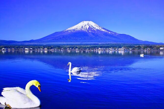 Mt. Fuji to Lake Kawaguchi, Lake Yamanaka and Onsen Day Tour - Lake Yamanaka: A Softer, Larger Lake Moment and a Boat Option