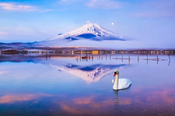 Mt. Fuji to Lake Kawaguchi, Lake Yamanaka and Onsen Day Tour - Arakurayama Sengen Park and Arakura Shrine: Where You Find That Classic Fuji Framing