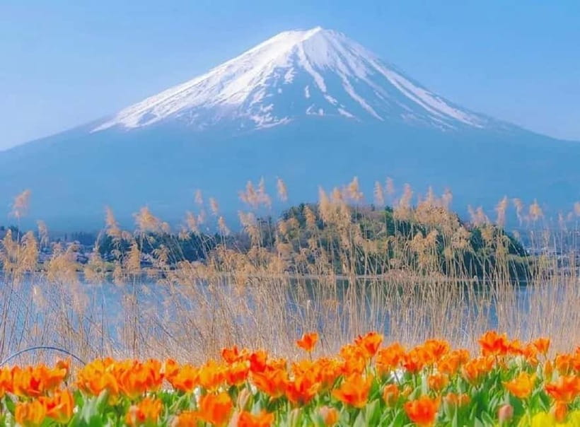 Mt Fuji Top 5 Spots Day Tour: Arakurayama Park,Oshino Hakkai - Why This Mt Fuji Day Trip Works When Time Is Tight