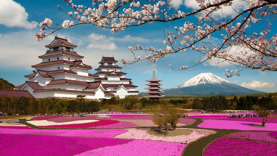 Mt Fuji Tour With Experienced English Driver - Mt Fuji 5th Station: the altitude moment and the photo reality