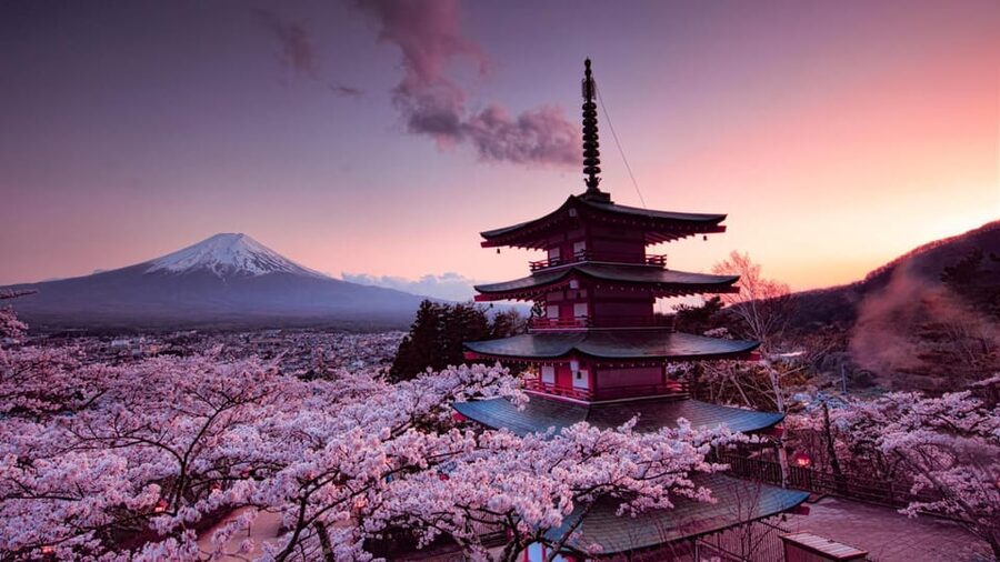 Mt Fuji Tour With Experienced English Driver - Pickup in Tokyo, waiting rules, and how to avoid stress