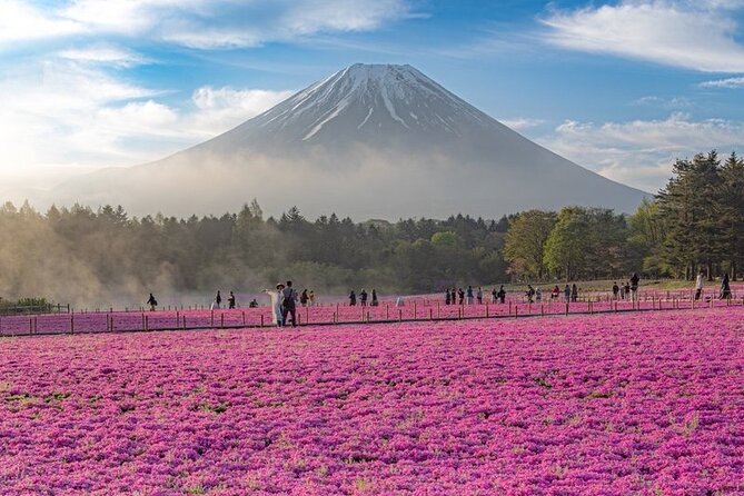 Mt Fuji Tour with Japanese Local Guide on Private Car from Tokyo - Chureito Pagoda and Arakura Sengen Shrine: the classic Fuji photo