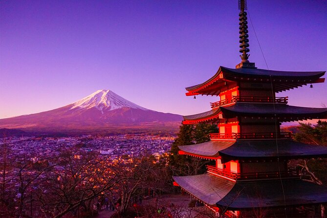 Mt Fuji Tour with Japanese Local Guide on Private Car from Tokyo - Oishi Park: a short stop with strong payoff
