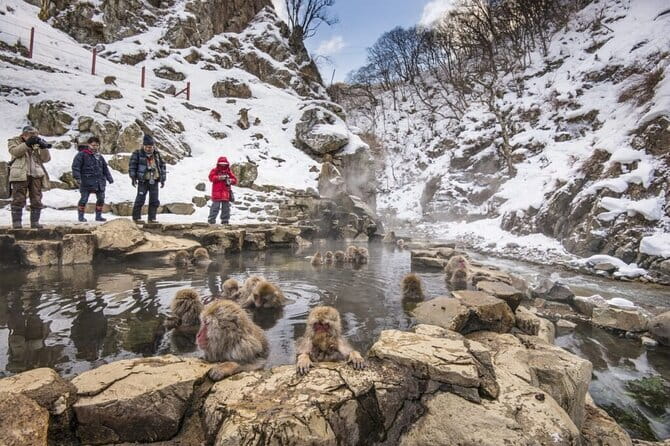 Mt. Fuji Tours to Lake Kawaguchi and Yamanaka Onsen English Guide - The fixed-group nature: timings are part of the experience