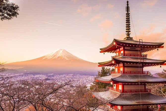 Mt. Fuji Tours with Kawaguchi Lake Ropeway View English Speaking - Ropeway Start at Lake Kawaguchi, From Gondola Views to Mountain Cable Car