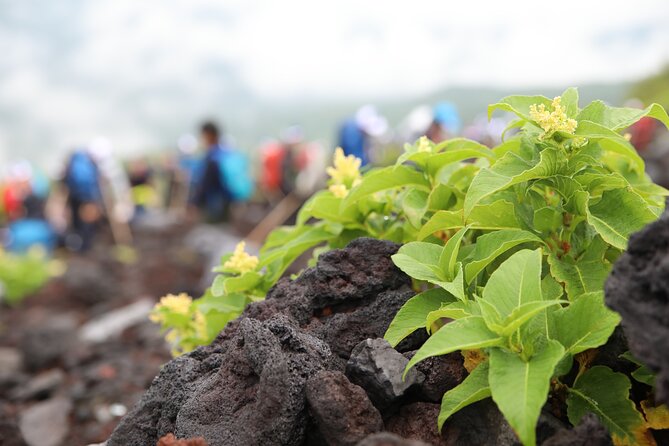 Mt.Fuji Trekking 1 Day Tour up to the summit - The Optional Summit Push: How to Decide Without Regret