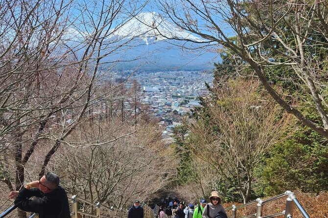 Mt.Fuji view Hakone Private tour with English speaking driver - Stop 3: Owakudani Valley, the volcanic highlight you actually remember