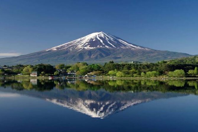 MT FUJI with Private Tour - Yamanakako Hananomiyako Park: seasonal flowers by the lake