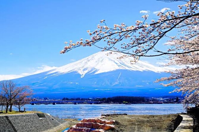 MT FUJI with Private Tour - Narusawa Ice Cave: a cool, unique break from outdoors heat