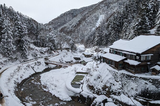Nagano Snow Monkey 1 Day Tour with Beef Sukiyaki Lunch from Tokyo - Stop 2: Jigokudani Snow Monkey Park, your snow walking reality check