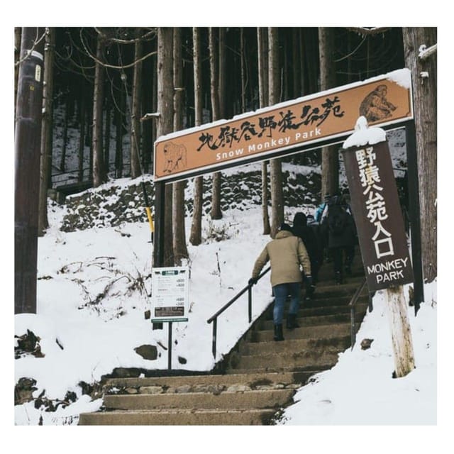 Nagano/Tokyo: Snow Monkey Private Day Tour At Lowest Rate - Key highlights to know before you go