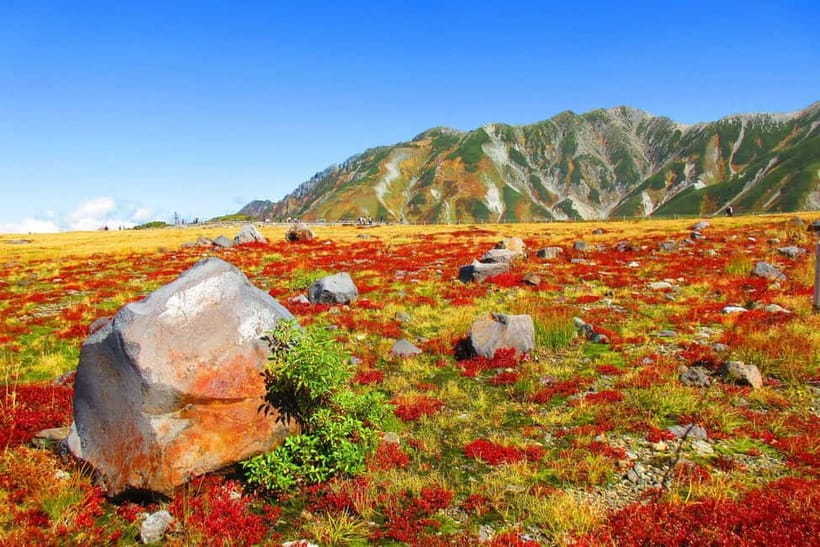 Nagano: World’s Edge Tateyama Kurobe Alpine Route Tour - Entering the Roof of Japan: A Day That Actually Changes by Season