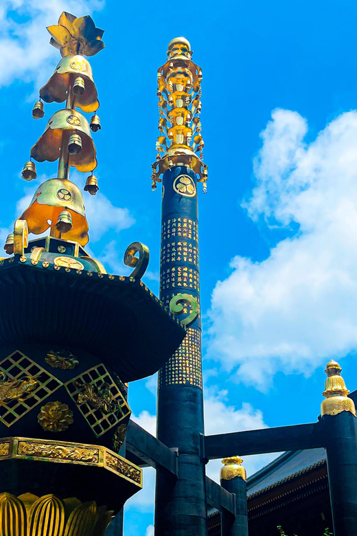 Nikko: Day Tour from Tokyo in Spanish - Spanish - Key takeaways before you go
