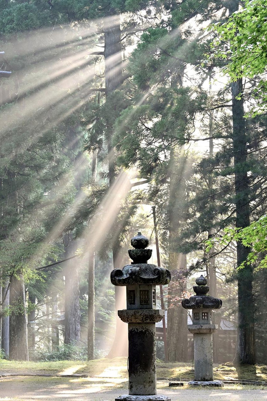 Nikko Heritage & Nature Day Trip from Tokyo - Lake Chuzenji, Lunch, and That Fresh Mountain Air