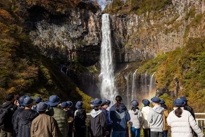 Nikko in Style: Luxury private Day Tour with English guide - Price and Logistics: What You’re Paying For