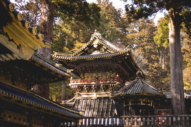 Nikko Private Day Tour from Tokyo with English-Speaking Driver - The schedule reality: you are paying for time, not just mileage