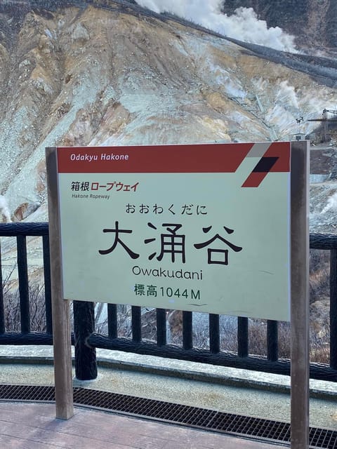Nikko Private Day Tour with English Speaking Expert Driver - Toshogu Shrine: the Tokugawa story told through carvings and gold