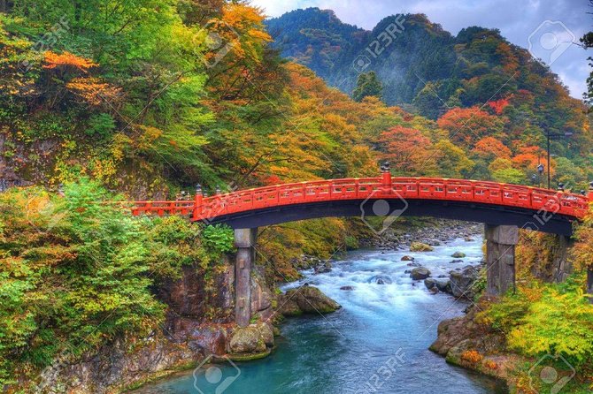 Nikko private tour with English speaking guide - Timing and traffic: a long road day out of Tokyo