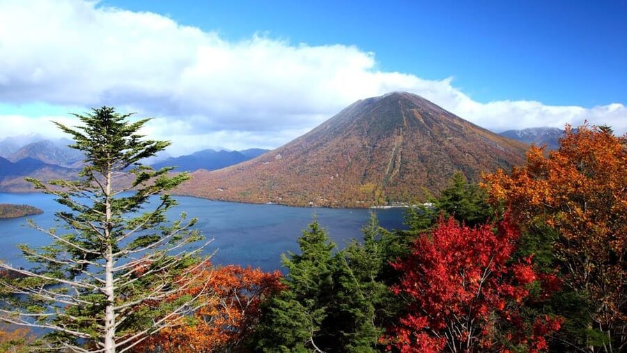 Nikko: Private Walking Tour with Local Guide - Price and value: what $151 buys you in Nikko
