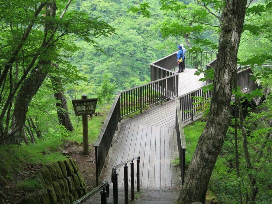 Nikko's Majestic Landscapes: Private Guided Tour - Who this Nikko private guided tour suits best