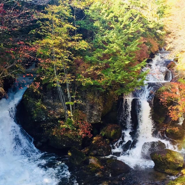 Nikko's Majestic Landscapes: Private Guided Tour - Shinkyo Bridge and Nikko time for a slower look