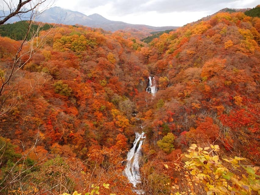 Nikko's Majestic Landscapes: Private Guided Tour - Rinnoji Temple and the final 40-minute stop, confirm the exact timing