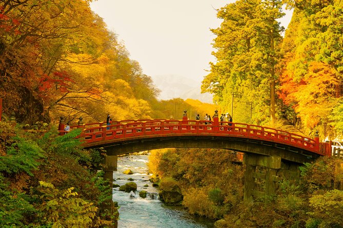 Nikko Tour by Private Car and English Speaking Driver - Kegon Falls: the 97-meter wow moment, short and powerful