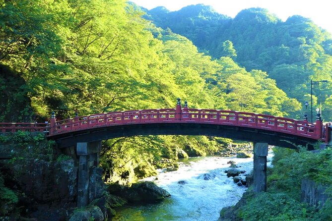 Nikko Tour by Private Car and English Speaking Driver - Nikko Tosho-gu: ornate shrine time with real cultural context